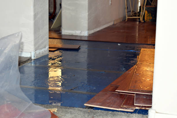 Professional Water Damage Restoration technician working in Allendale, CA